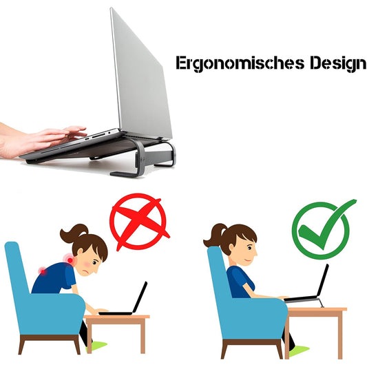 Fixed Metal Laptop Stand For Desk (25 26 Cm)