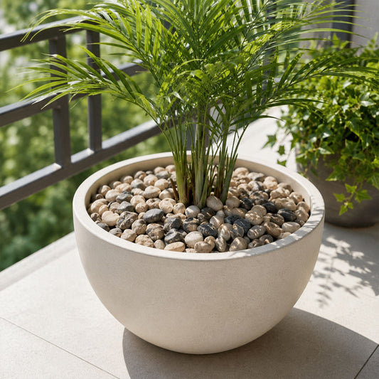 Decorative Natural Pebbles Stones For Aquarium Vase Garden And Home Decor (1 Set)