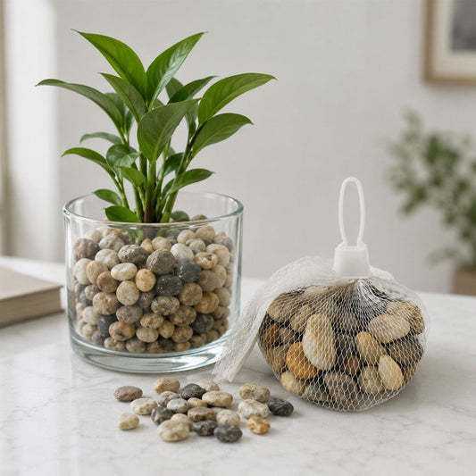 Natural River Pebbles Stones For Aquarium Vase Planter And Garden Decor (1 Set)