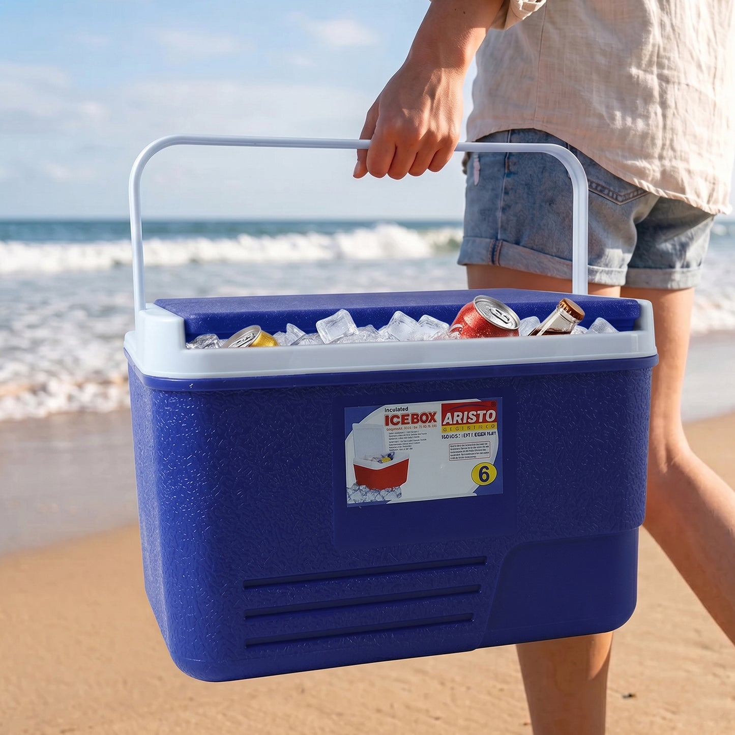 Portable Insulated Ice Cooler Box With Carry Handle (1 Pc Blue  6ltr)