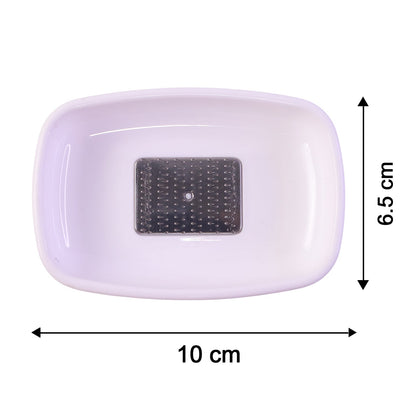 Garlic Ginger Grater Plate  Quick Mess-free Food Prep Tool