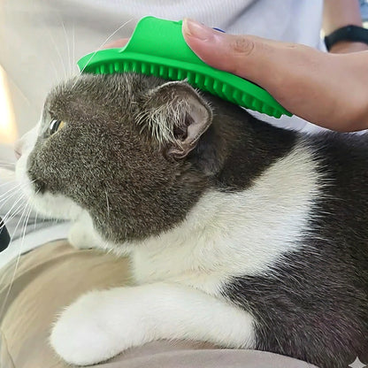 Pet Grooming Bath Brush With Adjustable Hand Strap For Dogs  Cats (1 Pc)