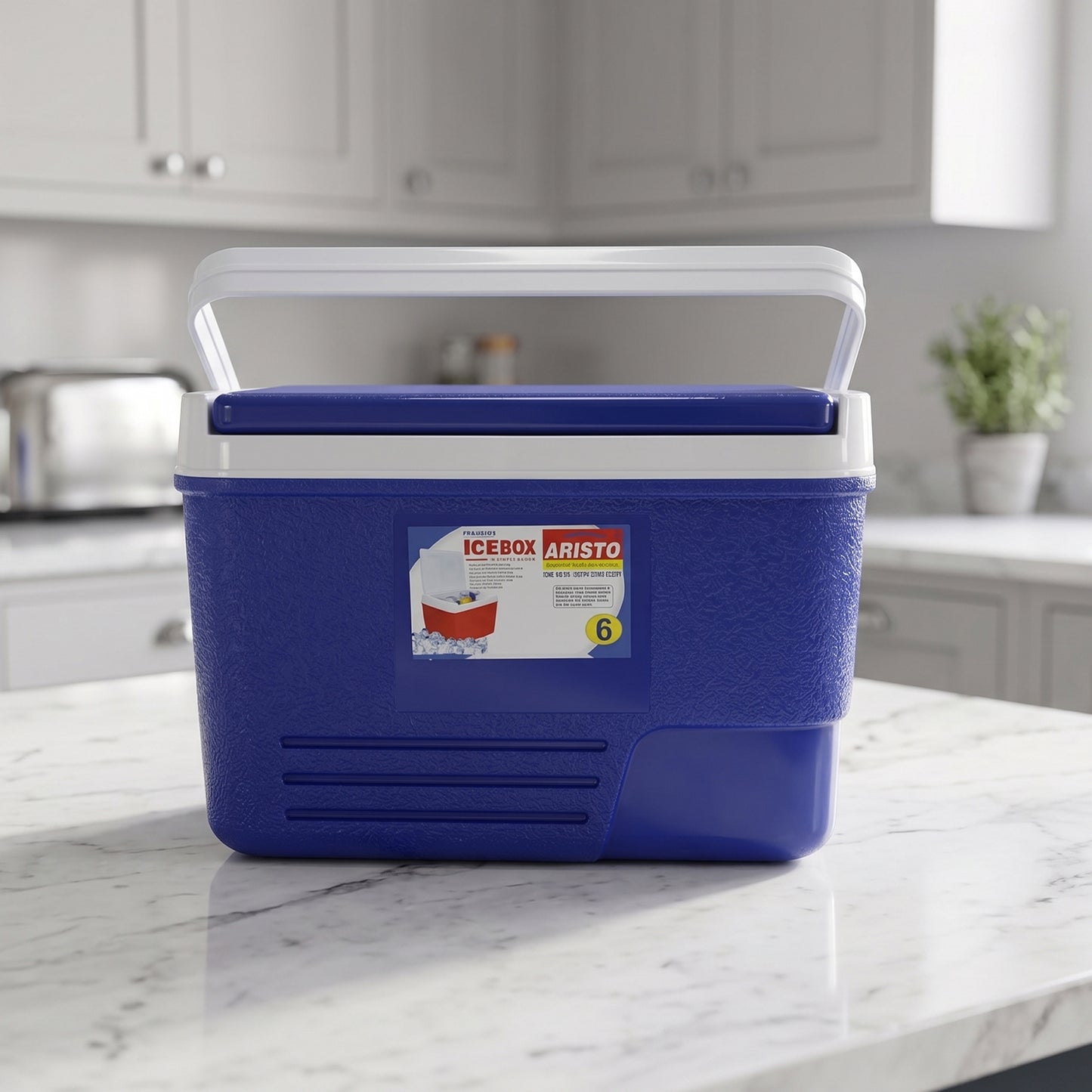 Portable Insulated Ice Cooler Box With Carry Handle (1 Pc Blue  6ltr)