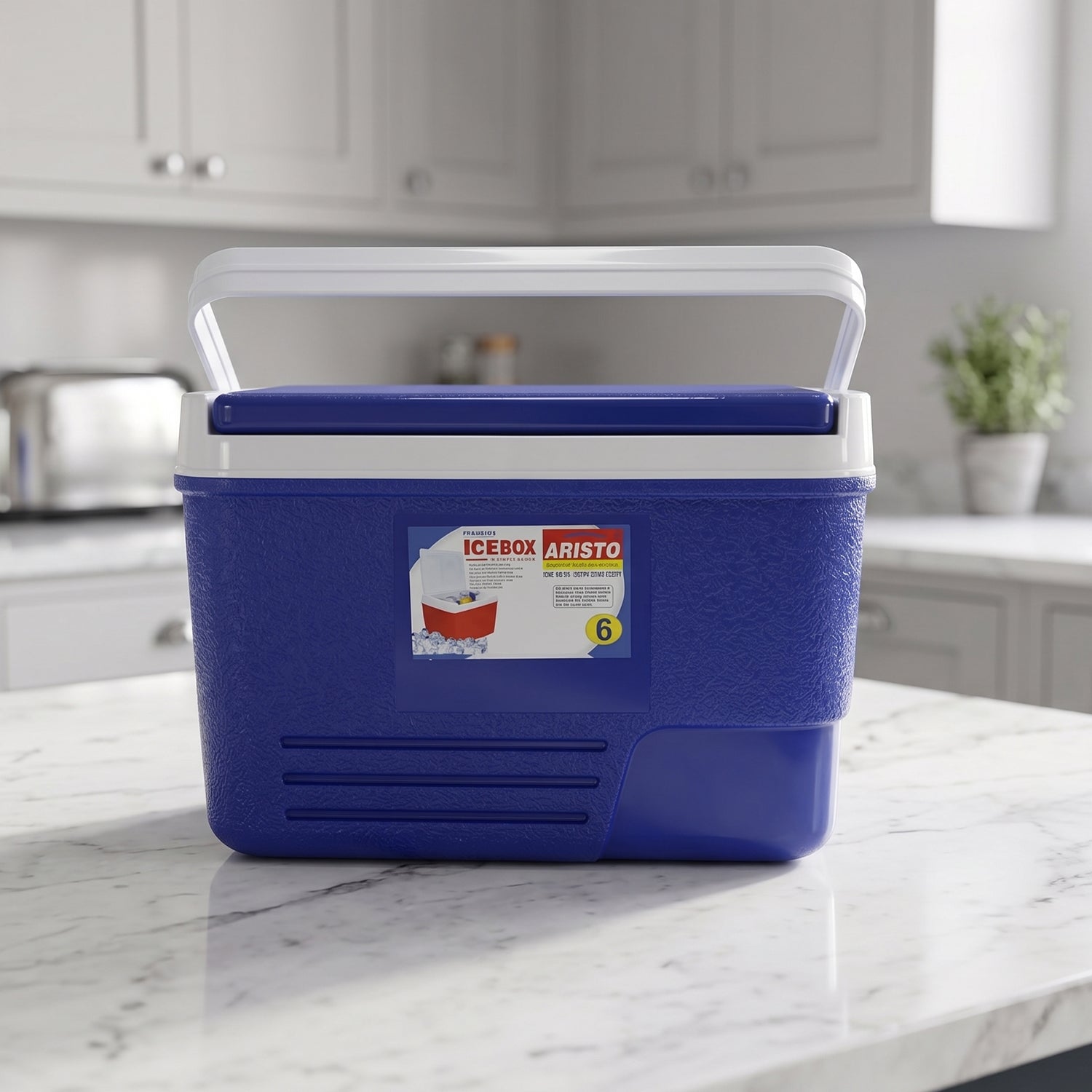 Portable Insulated Ice Cooler Box With Carry Handle (1 Pc Blue  6ltr)