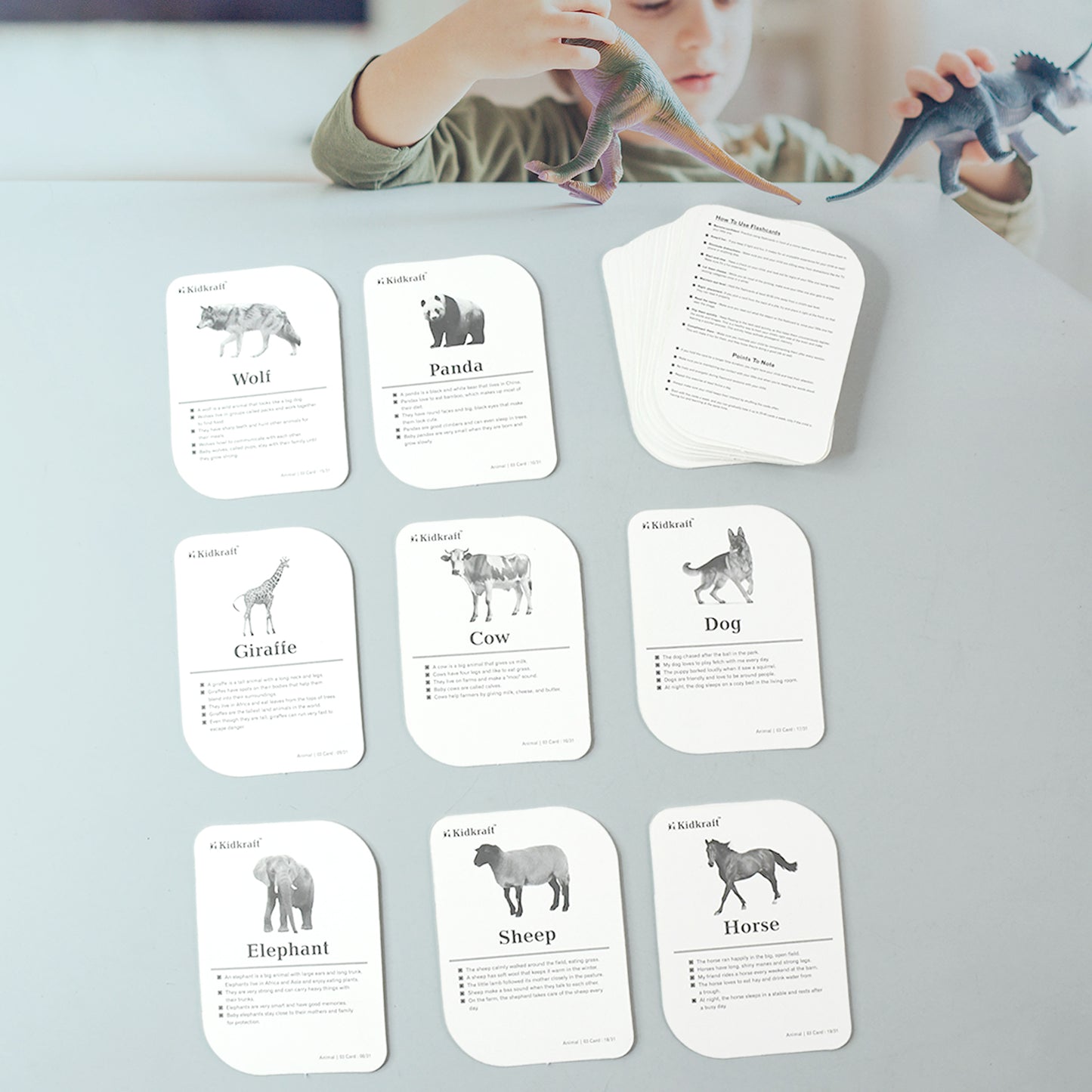 Kidkraft 32-piece Animal Flash Cards Set