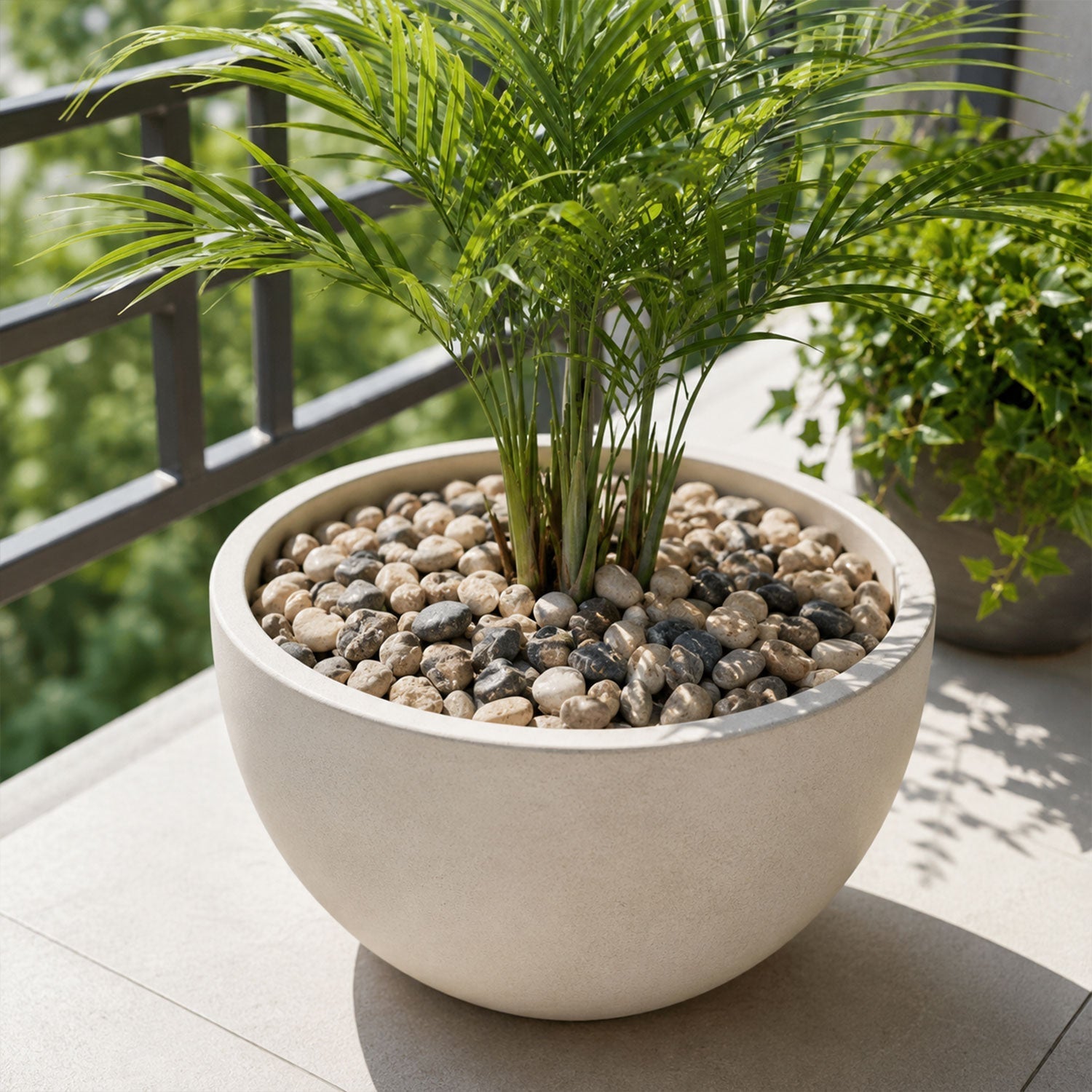 Decorative Natural Pebbles Stones For Aquarium Vase Garden And Home Decor (1 Set)